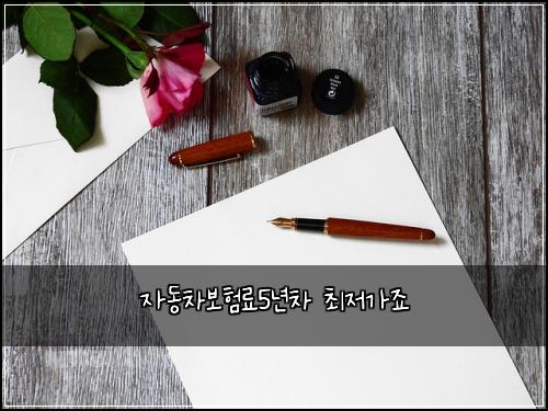 자동차보험료5년차 최저가죠