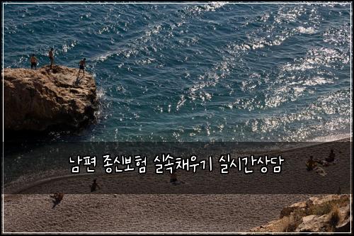 남편 종신보험 실속채우기  실시간상담