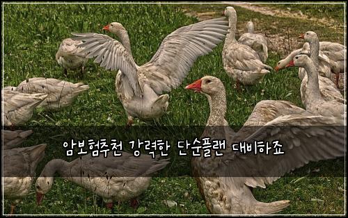 암보험추천 강력한 단순플랜 대비하죠