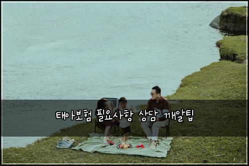 태아보험 필요사항  상담 깨알팁