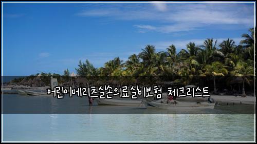 어린이메리츠실손의료실비보험 체크리스트