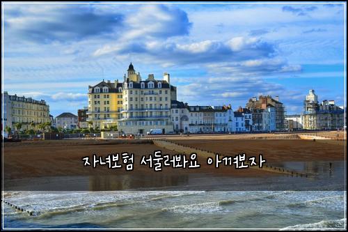 자녀보험 서둘러봐요  아껴보자