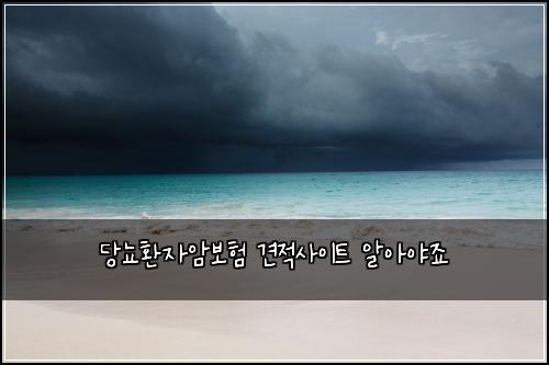 당뇨환자암보험 견적사이트  알아야죠
