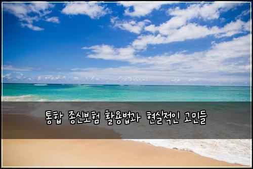 통합 종신보험 활용법과 현실적인 고민들