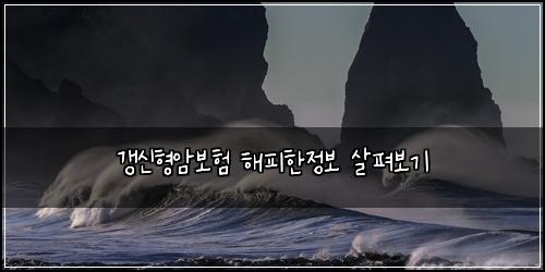갱신형암보험 해피한정보  살펴보기
