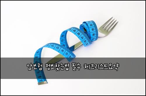 암보험 정보찾는법  필수 체크리스트요약