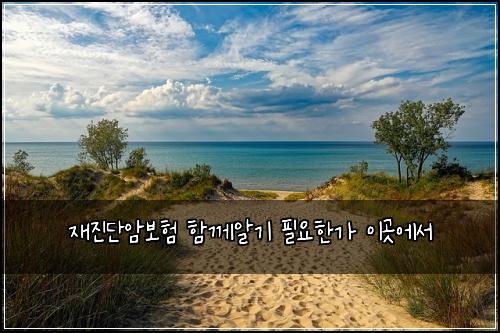 재진단암보험 함께알기  필요한가 이곳에서