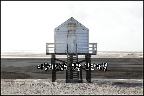 자동차보험료 분활 간단해결