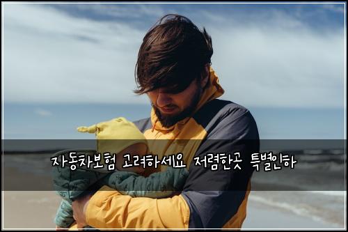 자동차보험 고려하세요  저렴한곳 특별인하