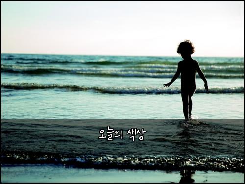 오늘의 색상