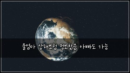 울엄마 상해보험 정보찾음  아빠도 가능