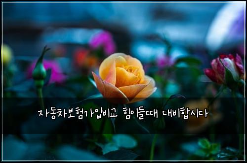 자동차보험가입비교 힘이들때 대비합시다
