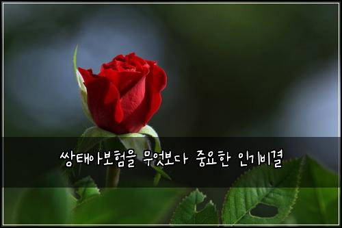 ์ํ์๋ณดํ์ ๋ฌด์๋ณด๋ค ์ค์ํ ์ธ๊ธฐ๋น๊ฒฐ