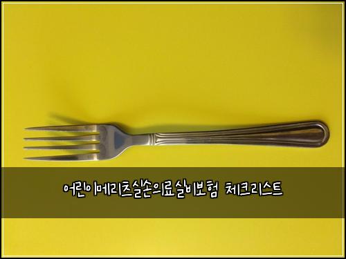 어린이메리츠실손의료실비보험 체크리스트