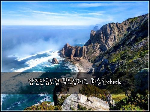 암진단금보험 필요성체크  확실한check