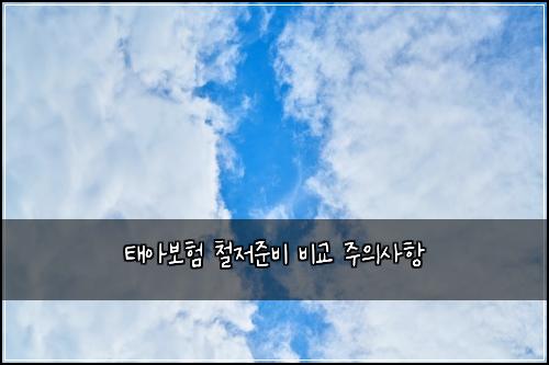 태아보험 철저준비  비교 주의사항