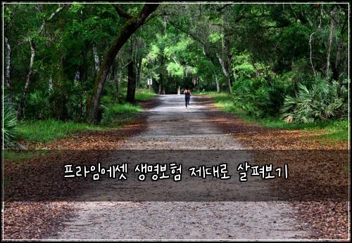 프라임에셋 생명보험 제대로 살펴보기