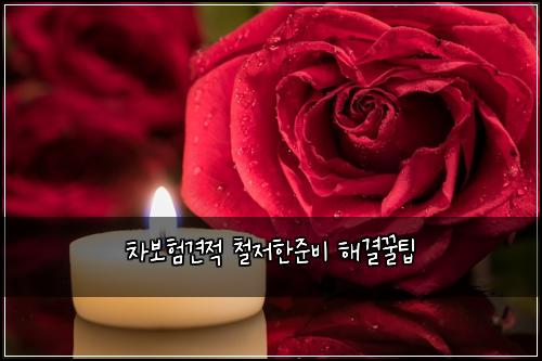 차보험견적 철저한준비 해결꿀팁