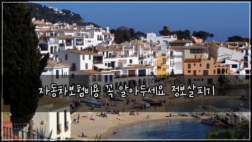자동차보험비용 꼭 알아두세요 정보살피기