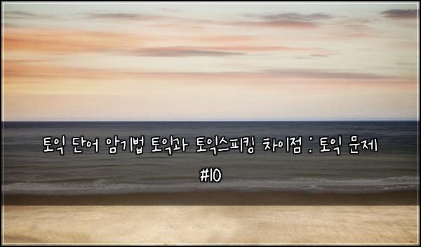 토익 단어 암기법 토익과 토익스피킹 차이점 : 토익 문제 #10