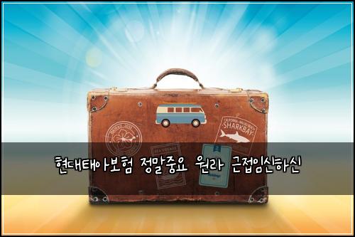 현대태아보험 정말중요  원라 근접임신하신