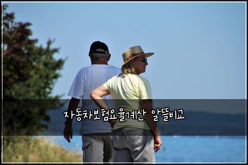 자동차보험요율계산 알뜰비교