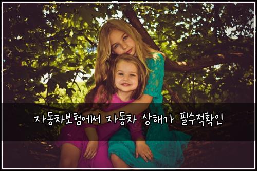 자동차보험에서 자동차 상해가 필수적확인