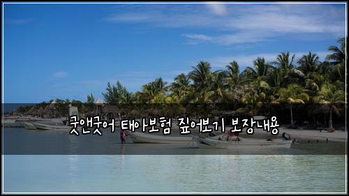 ๊ตฟ์ค๊ตฟ์ด ํ์๋ณดํ ์ง์ด๋ณด๊ธฐ ๋ณด์ฅ๋ด์ฉ