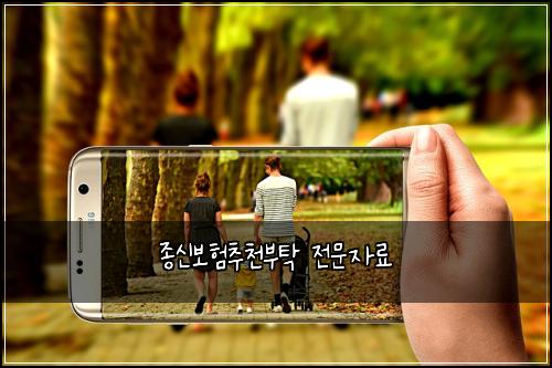 종신보험추천부탁 전문자료