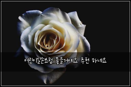 어린이실손보험 좋을거예요  추천 하네요