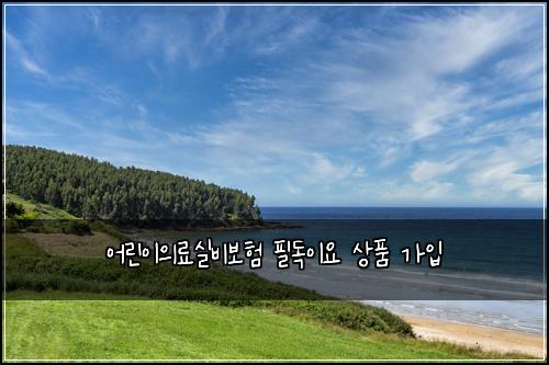 어린이의료실비보험 필독이요  상품 가입
