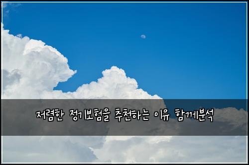 저렴한 정기보험을 추천하는 이유 함께분석