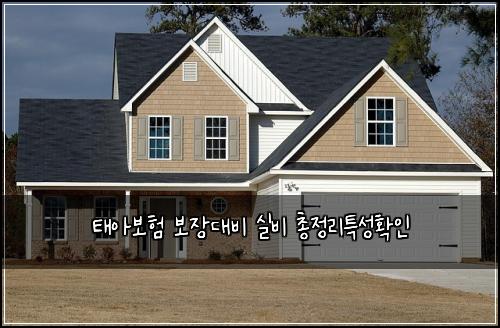 태아보험 보장대비  실비 총정리특성확인