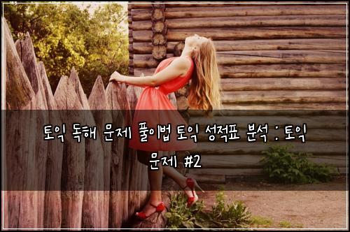 토익 독해 문제 풀이법 토익 성적표 분석 : 토익 문제 #2