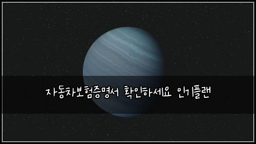 자동차보험증명서 확인하세요 인기플랜