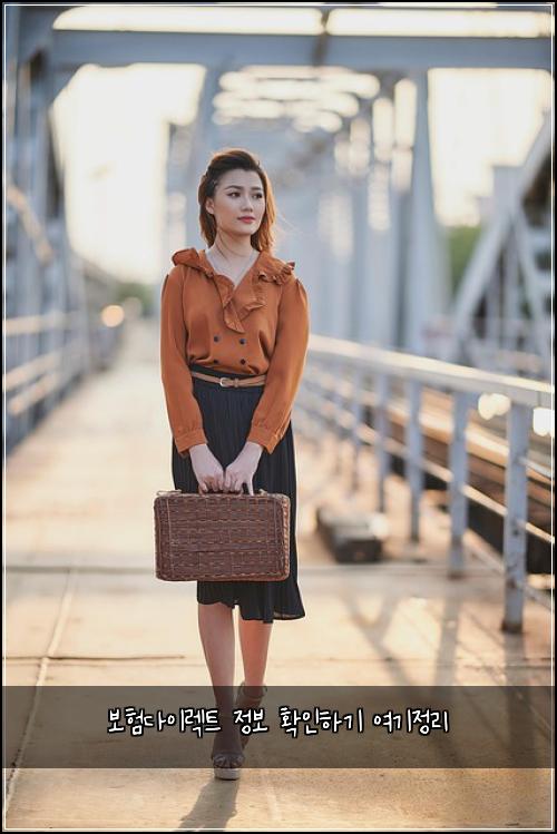 보험다이렉트 정보 확인하기 여기정리