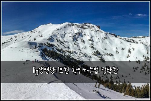 lig생명정기보험 확인하는법  정확한