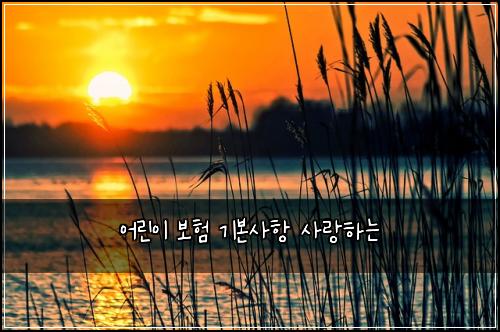 ์ด๋ฆฐ์ด ๋ณดํ ๊ธฐ๋ณธ์ฌํญ ์ฌ๋ํ๋