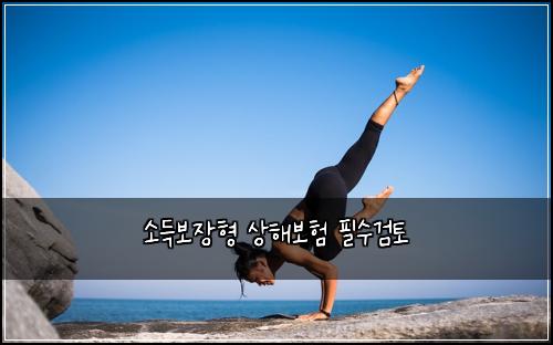 소득보장형 상해보험 필수검토 