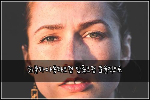 화물차자동차보험 맞춤보험  효율적으로