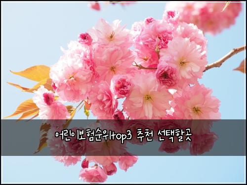 ์ด๋ฆฐ์ด๋ณดํ์์top3 ์ถ์ฒ ์ ํํ ๊ณณ