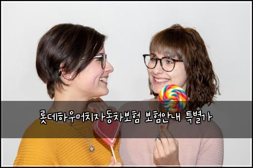 롯데하우머치자동차보험 보험안내  특별가