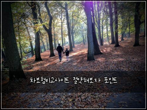 차보험비교사이트 절약해보자 포인트