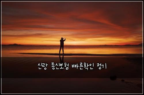 신랑 종신보험 빠른확인  정기