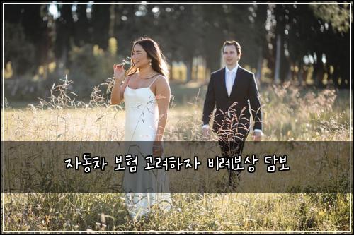 자동차 보험 고려하자  비례보상 담보