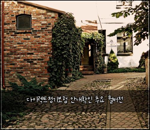 다이렉트정기보험 안내확인  추요 월버전