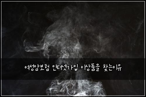 여성암보험 인터넷가입  이상품을 찾는이유