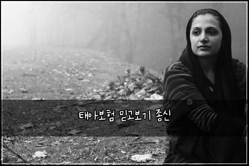 태아보험 믿고보기  종신