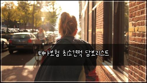 태아보험 최소견적  담보리스트