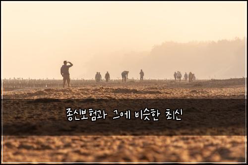 종신보험과 그에 비슷한 최신